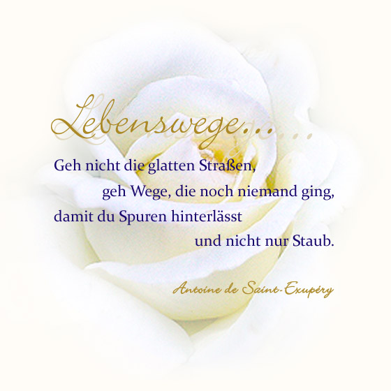 Bild Rose